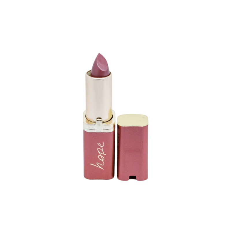 Loreal Lip Stick Loreal Lip Stick 531