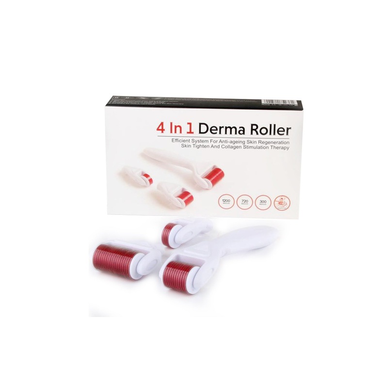 4 in 1 Derma Roller